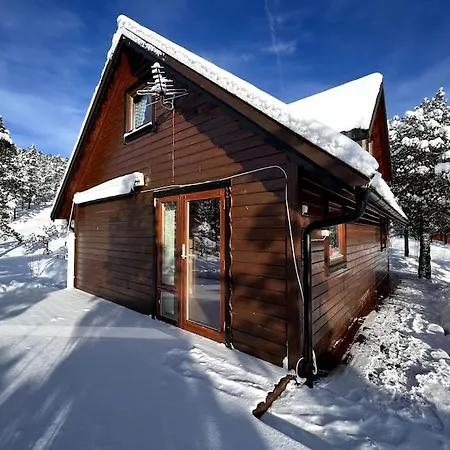 Cozy Cabin In Senja, Quite Modern, Built In 2017 Vakantiehuis *